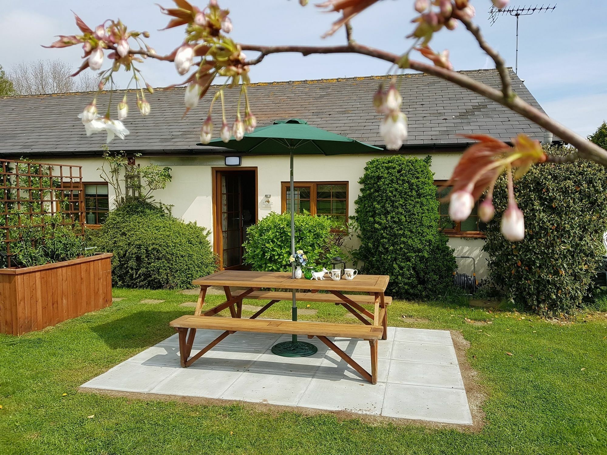 Hawthorn Farm Cottages 坎特伯雷 外观 照片